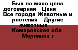 Бык на мясо цена договарная › Цена ­ 300 - Все города Животные и растения » Другие животные   . Кемеровская обл.,Мариинск г.